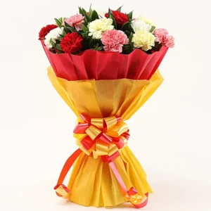 Carnation Harmony Bouquet
